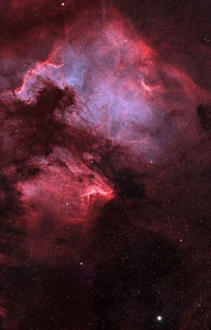 NGC7000 north American Nebula tumblr.com/thedemon-haunt…