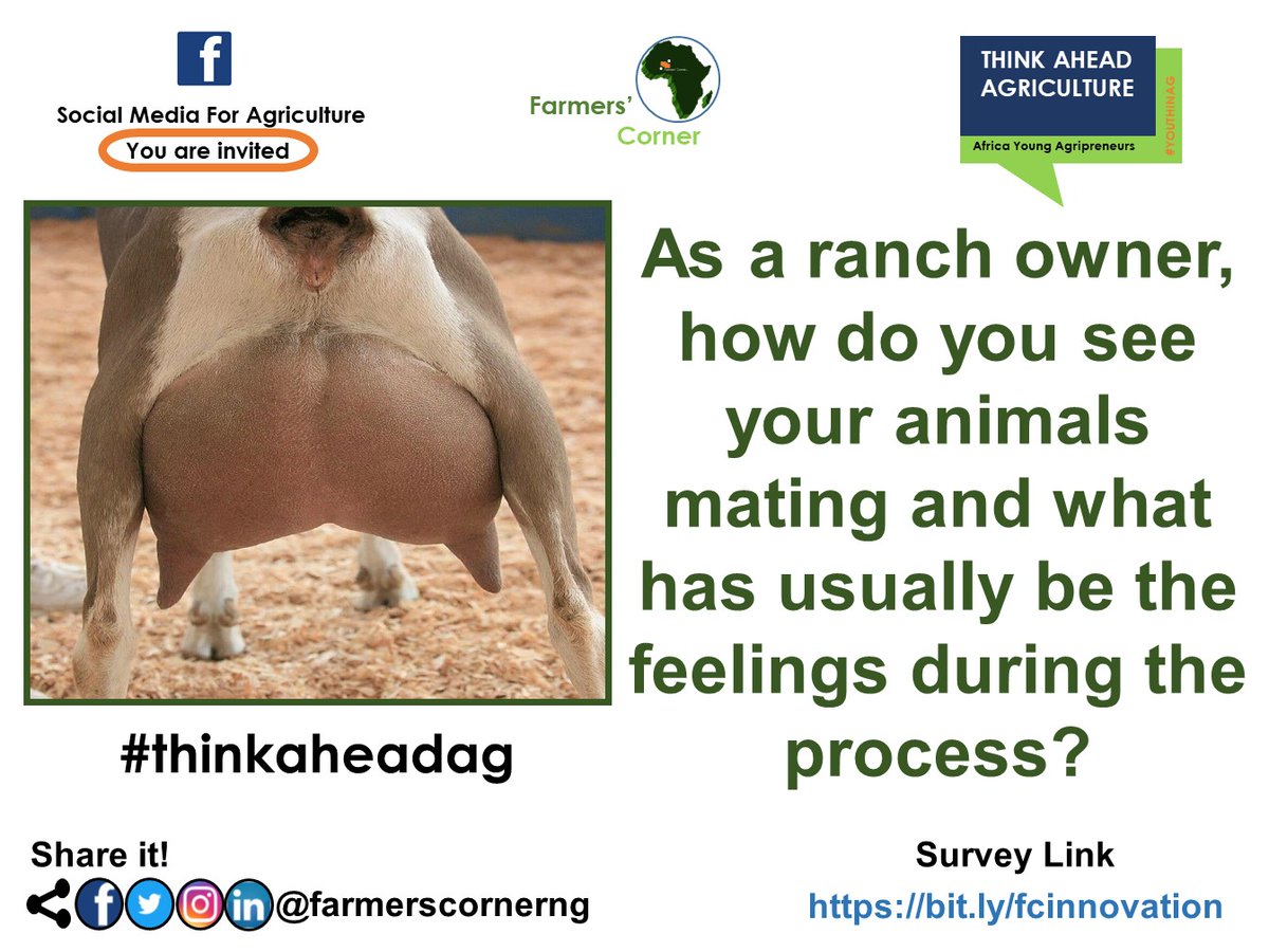 Share with others the feelings seeing your animals mating.

Tag a friend. #ranch #herdsman #ranchowner #goat #cow #cattle #reproduction #husbandry #meat #milk #thinkaheadag #farmerscornerng