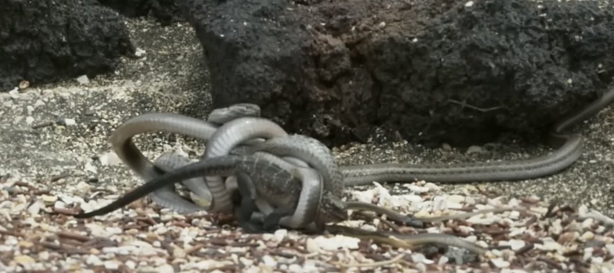 TheGrumpyBitch's tweet image. Harry and his haters.  

#Harryinterview