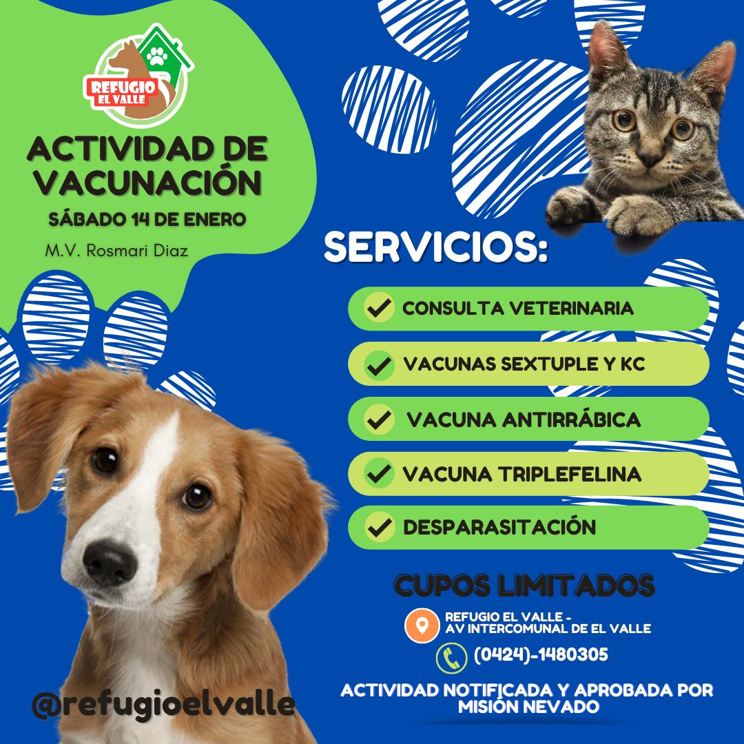 A BAJOS COSTOS - SÁB 14/01 junto a la MV Rosmari Diaz
OFRECEMOS: Séxtuple, Antirrábica, Tos de Perrera y Triplefelina. Consultas, desparasitación, corte de uñas y limpiezas de oídos.
📍Av Intercomunal de El Valle
📲0424-1480305 
Actividad notificada y aprobada por Misión Nevado