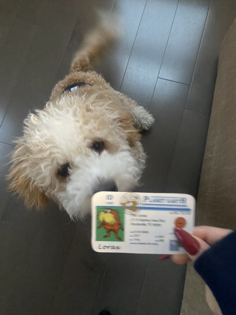 apesreese's tweet photo. My dog Charlie is a K-strategist species because dogs tend to only have a few offspring, receive care from their mothers, and have longer lifespans. @franklinlorax #apesecology https://t.co/rL9OkmgFeq