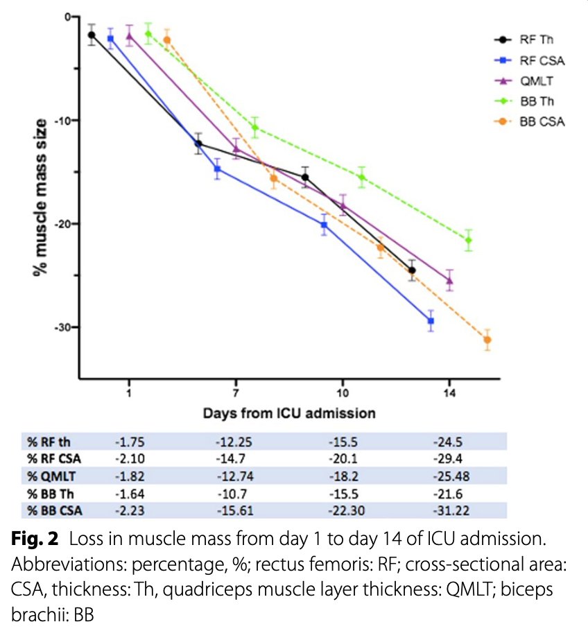 NydahlPeter's tweet photo. Systematic review incl 53 studies and 1,773 analyzed patients found that critically ill patients lose nearly 2% of skeletal muscle per day
Thanks to @CritCareReviews @Zudin_P @DrStefan2 
https://t.co/MpnzZYkNPc https://t.co/VtGHL2kpWo