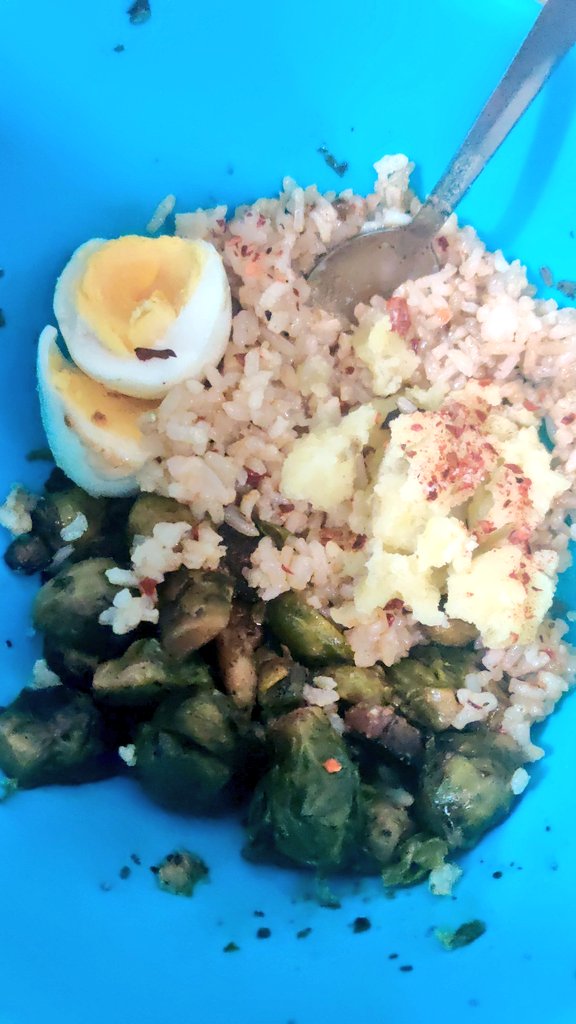 dutt_upasna's tweet photo. Don't forget to eat enough by the end of #Sunday
#Food #dinner #sundayvibes #eggs #mashedpotatoe #brownrice #brusselsprouts #greens #TweetOfTheDay https://t.co/pAwbUyypxK