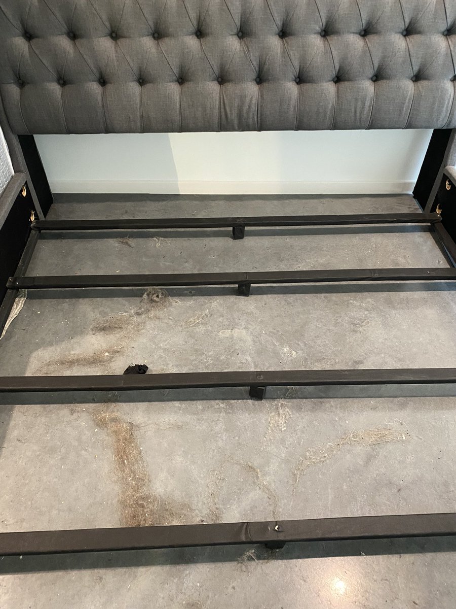 Amy Pearlman, MD tweet media