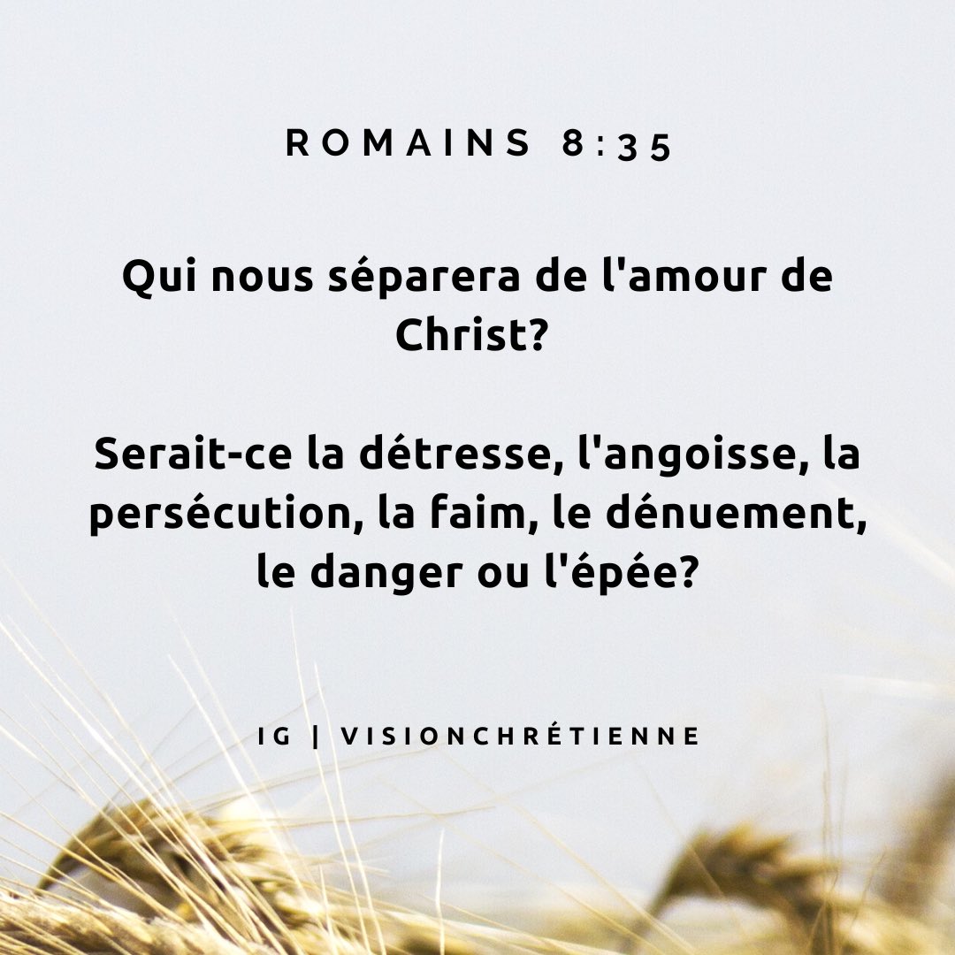Vision_VC tweet picture