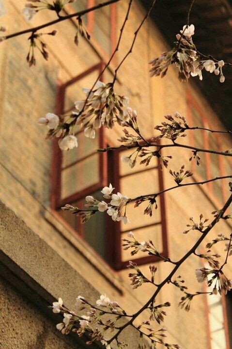 shams_'s tweet image. ربِّ سخّر لي من سُفن الحياة ما يُبحر بي إليك برفقةِ من أُحب...🧡