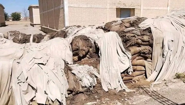 مجھے لگتا ہے کہ مہنگائی پر قابو پانا صرف صلاحیت ہی نہیں ہے۔
ایک ایسا دل ہونا چاہیے جو غریبوں کو محسوس کر سکے۔ بدقسمتی سے ہمارے دلوں میں غریبوں کے لیے کوئی احساس نہیں ہے۔
#مہنگائی_کا_طوفان_عوام_پریشان