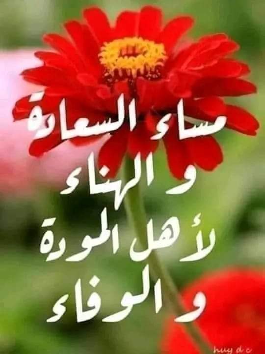 NargiesN's tweet photo. @Mohamme95591245 https://t.co/C7oox64Nmp