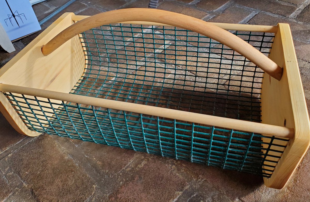 Veg4 Ⓥ tweet media