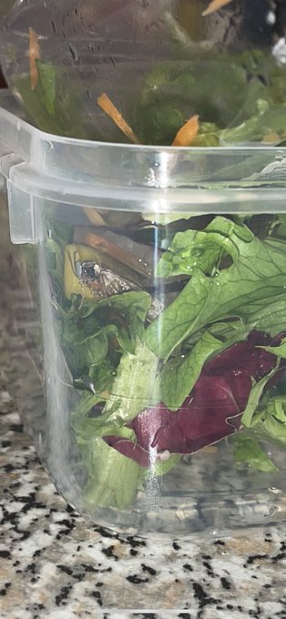OMG just found a LIVE moth in my &ldquo;washed and ready to eat&rdquo; salad from @Asda @asdaserviceteam 🤢🤢🤢 never