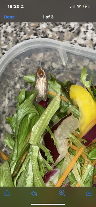OMG just found a LIVE moth in my &ldquo;washed and ready to eat&rdquo; salad from @Asda @asdaserviceteam 🤢🤢🤢 never