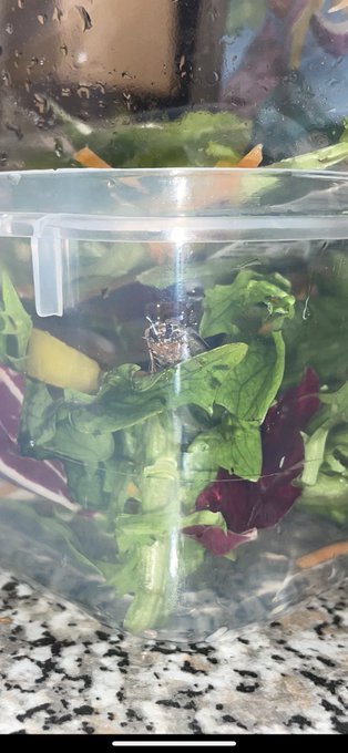 OMG just found a LIVE moth in my &ldquo;washed and ready to eat&rdquo; salad from @Asda @asdaserviceteam 🤢🤢🤢 never