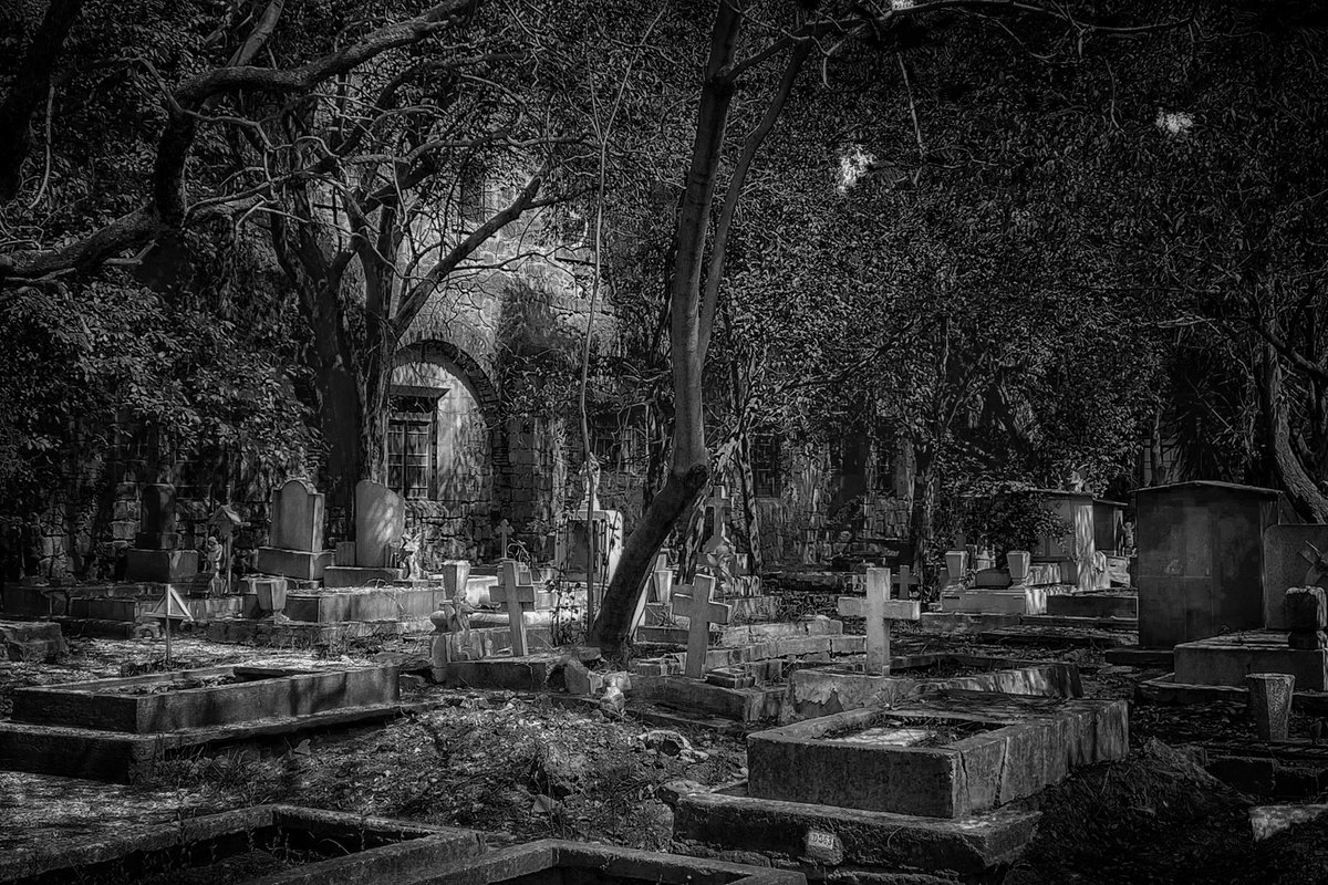 eaguileramiller's tweet photo. What have we found? The same old fears, wish you were here #bnw #bnwphotography #monochrome #photooftheday #way2ill #blacknwhite #ThePhotoHour https://t.co/CzCSm25ON3 https://t.co/Ghii4cptOV