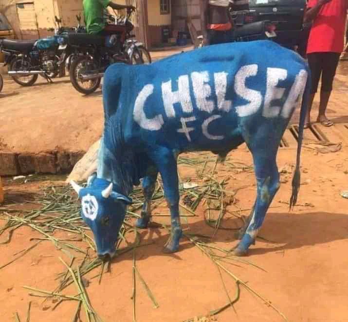 abel_maanda's tweet image. 🤣🤣🤣