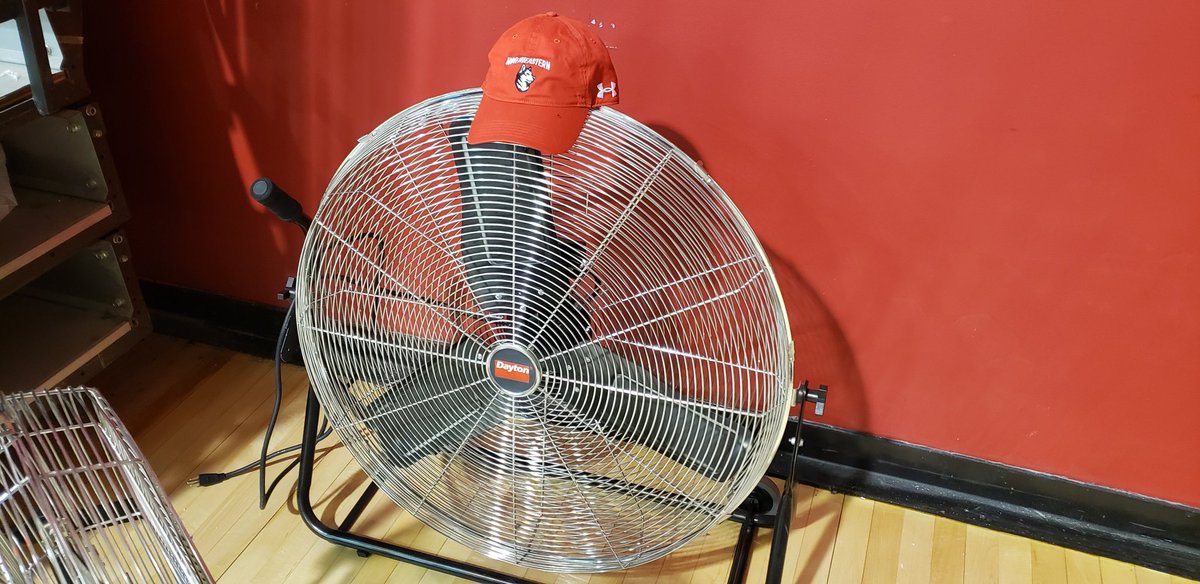Em7Ber's tweet photo. The real #HowlinHuskies fan of the game https://t.co/cfqgxKisHs