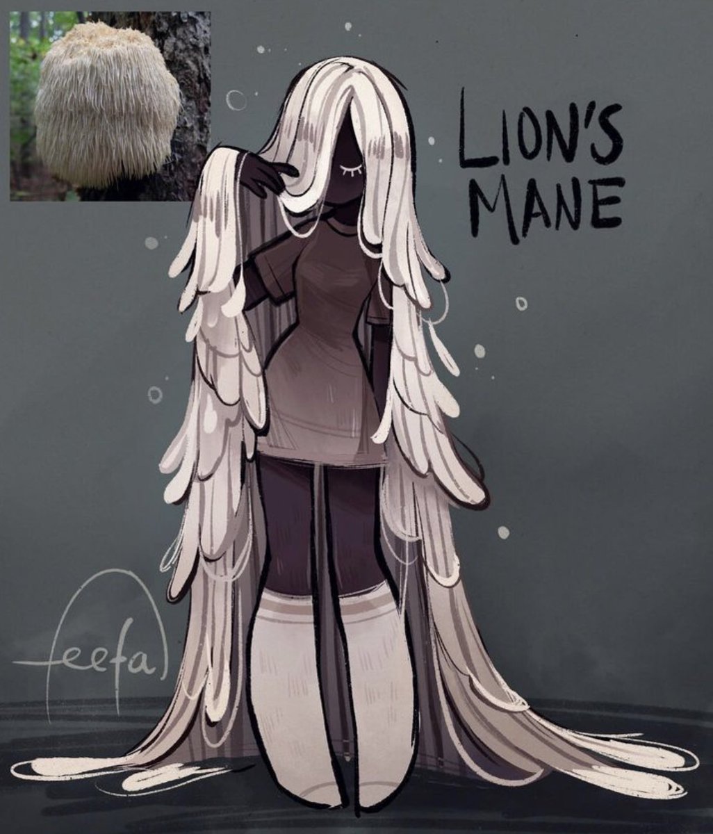 Lion’s mane shroom