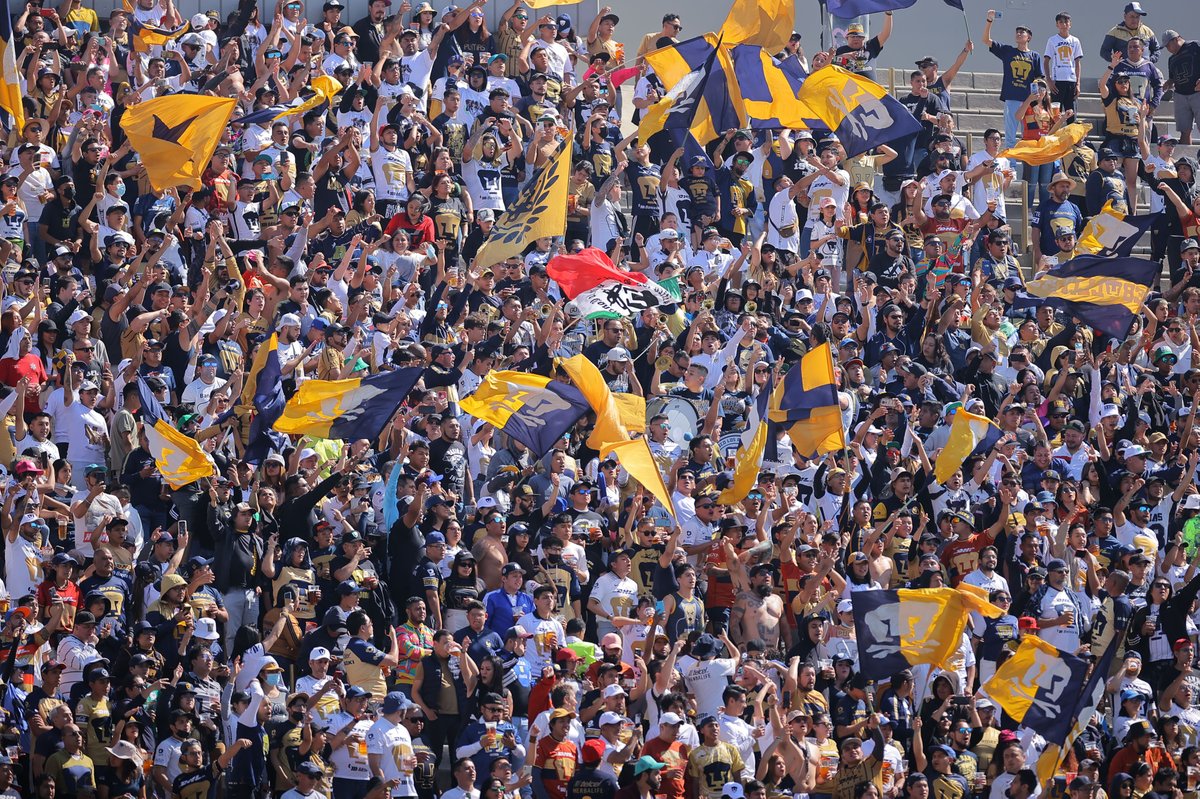 PumasMX's tweet photo. Qué lindo es volverlos a ver 🫶

#SoyDePumas #OrigenDeLaPasión https://t.co/lcRYBgqSoV