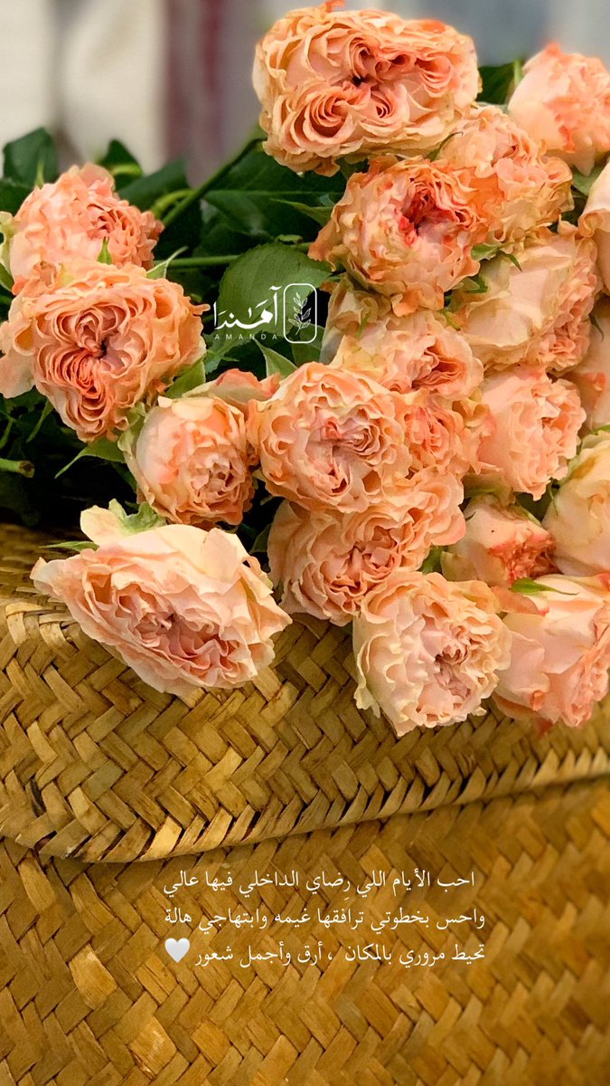 farfoha72016's tweet photo. @La__i14 https://t.co/afa8AUeuDi