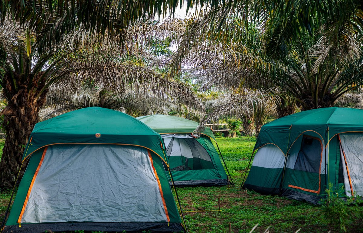 Bugoma Sand Beach Resort Hotel tweet media