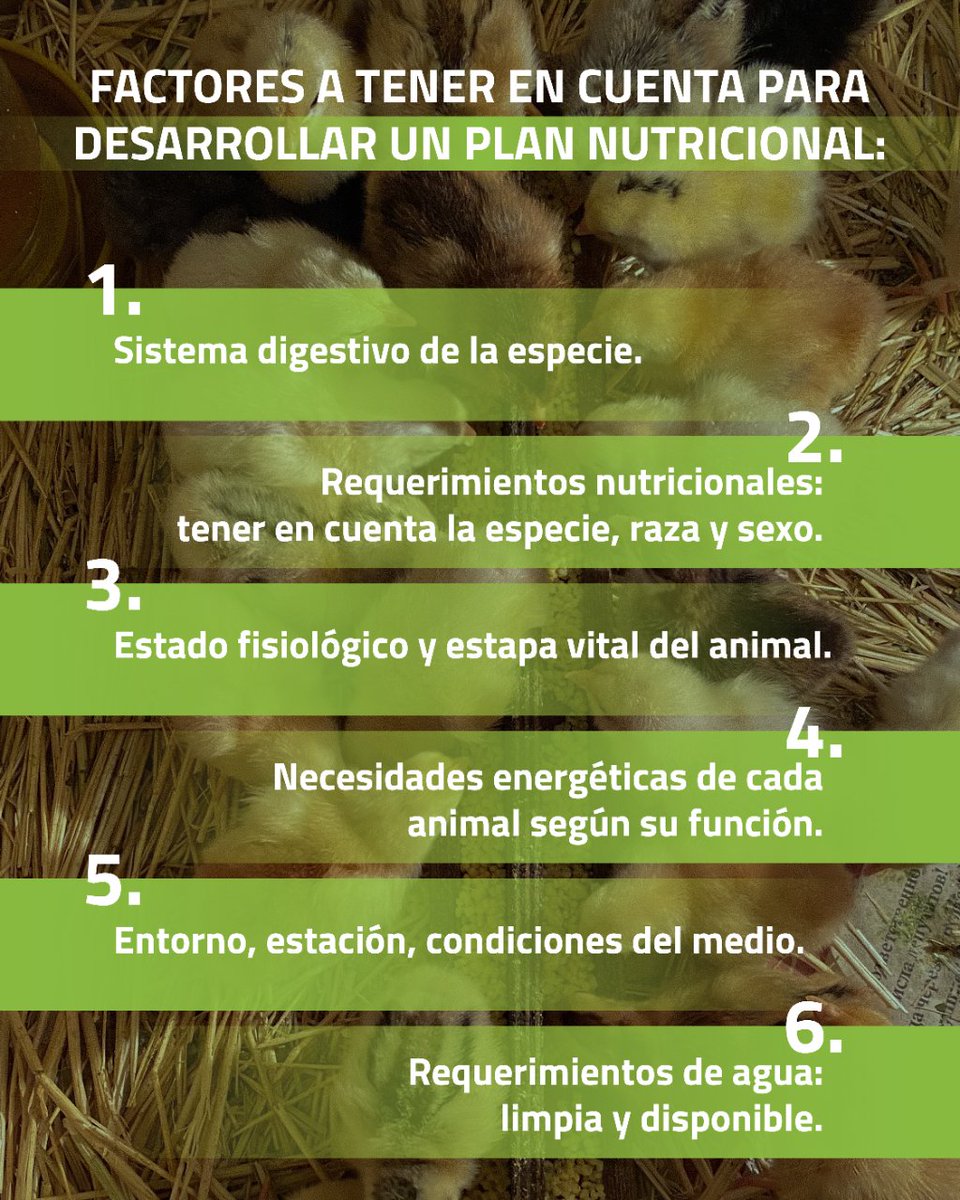 La alimentación equilibrada ⚖️ también es parte del #bienestaranimal. 

Los veterinarios 👩‍⚕️ realizamos los programas nutricionales totalmente adaptados a la salud y necesidades de cada animal 🐣, en cada etapa de su vida.