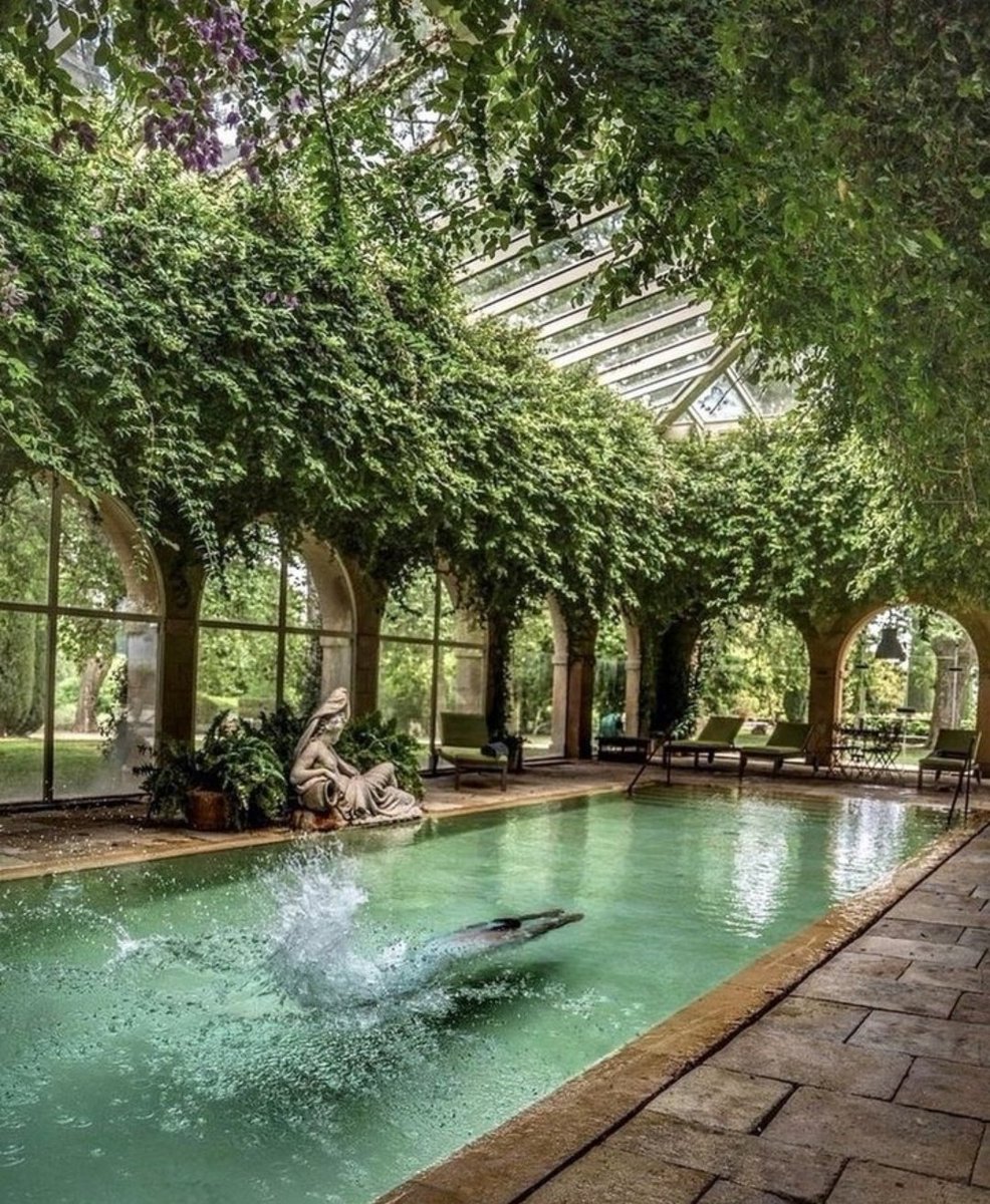 I would love to swim in this plant covered pool 🌿