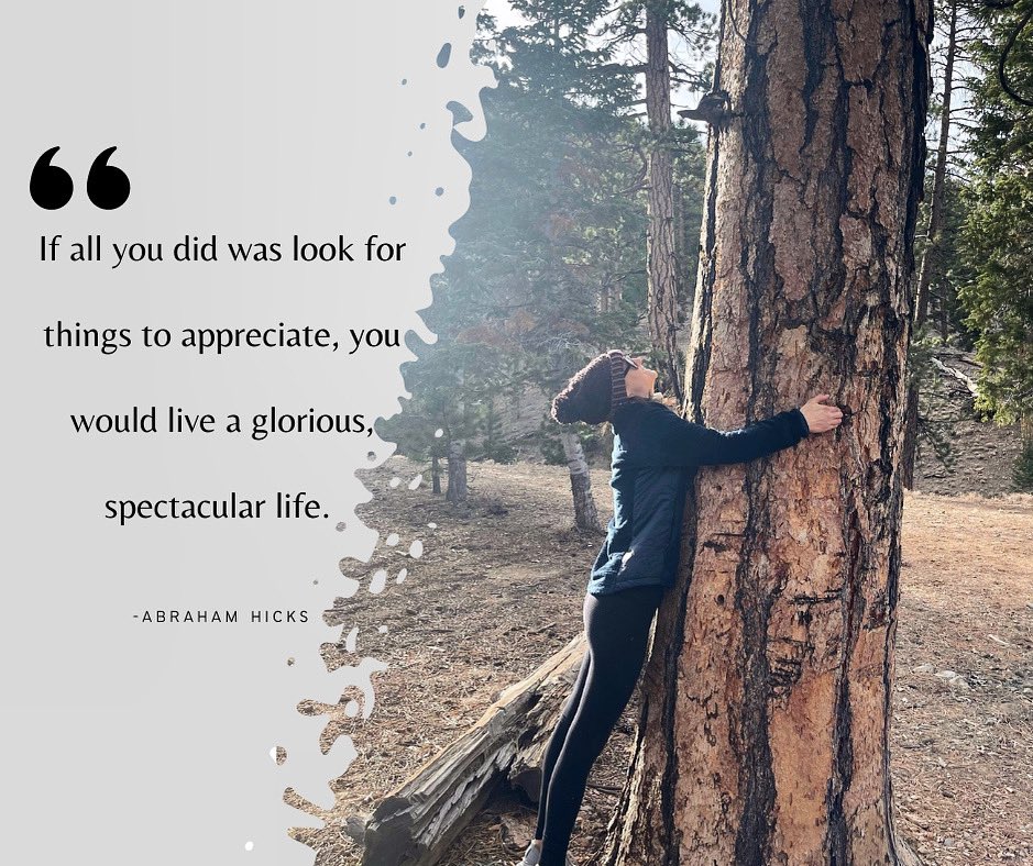 TheGreenForest_'s tweet photo. My family, being a mother, walking through the trees, hearing the birds sing me awake in the spring - the short list of what I am grateful for. 
What are you grateful for? 

#gratitude #whatareyougratefulfor #hugatree #naturallife #naturalmama #walkthroughaforest #loveyourlife https://t.co/xgeER8feHk