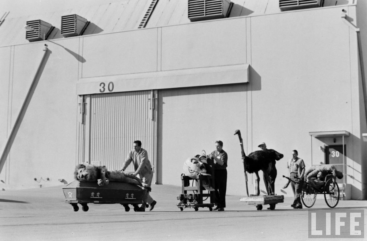 🎥¿Cómo es un estudio de cine por dentro?🎬

Universal fue el primer estudio en abrir al público sus decorados en los años 20, pero con la llegada del sonido cerraron el espacio al público... hasta 1964. LIFE se dio un paseo por sus entrañas y con sus fotos nos vamos de paseo👇