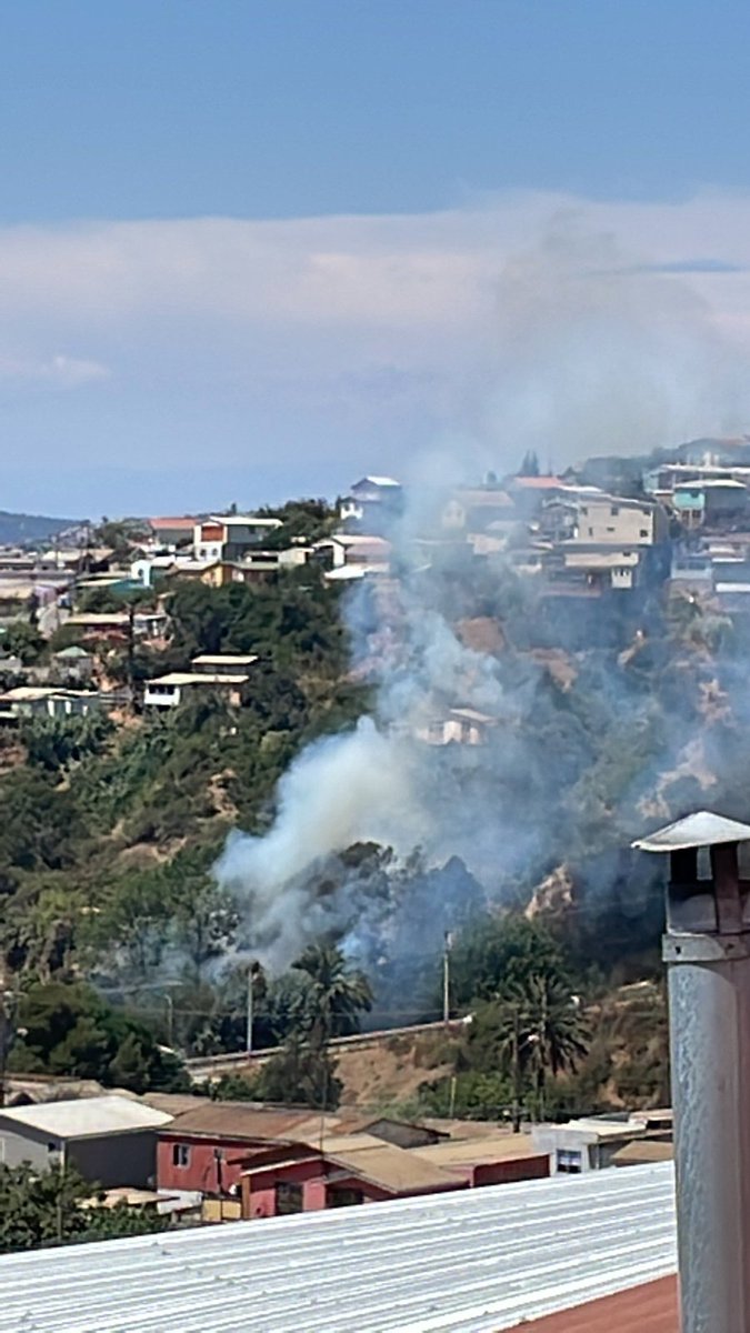 NoticiasValpoEx's tweet photo. 🔴 NVEinforma
#VIÑADELMAR #EMERGENCIAFORESTAL

AHORA| Bomberos Viña y recursos de Conaf trabajan en incendio forestal con peligro de propagación hacia vivienda en Forestal sector Tranque Sur. https://t.co/fVI8rjM0z0