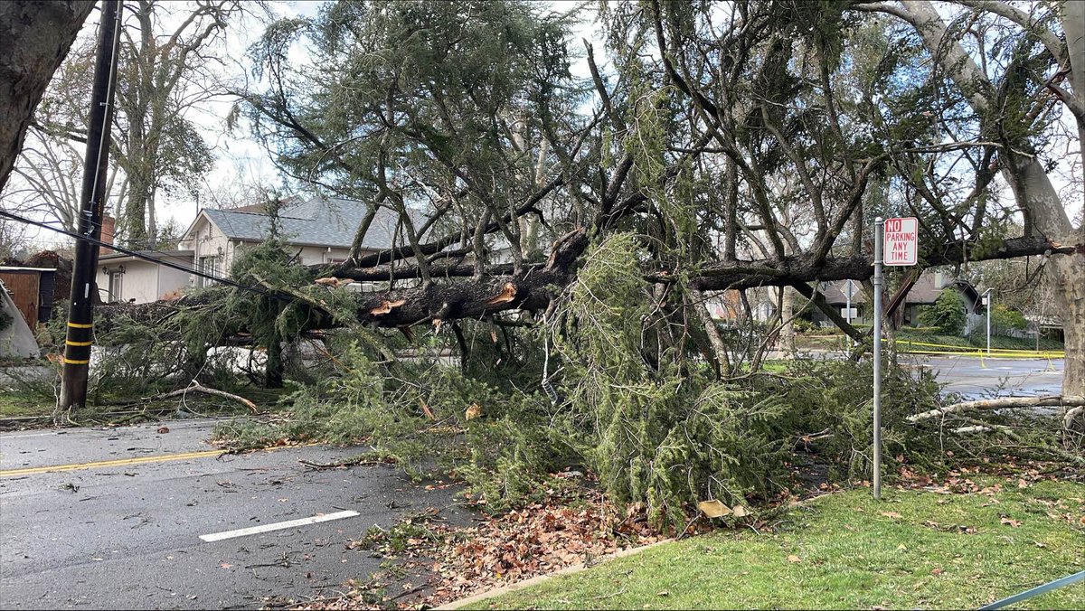 Jaden Torres ABC10 On Twitter Our ABC10 Crew Is Out In Force Today jaden-torres-abc10-on-twitter-our-abc10-crew-is-out-in-force-today