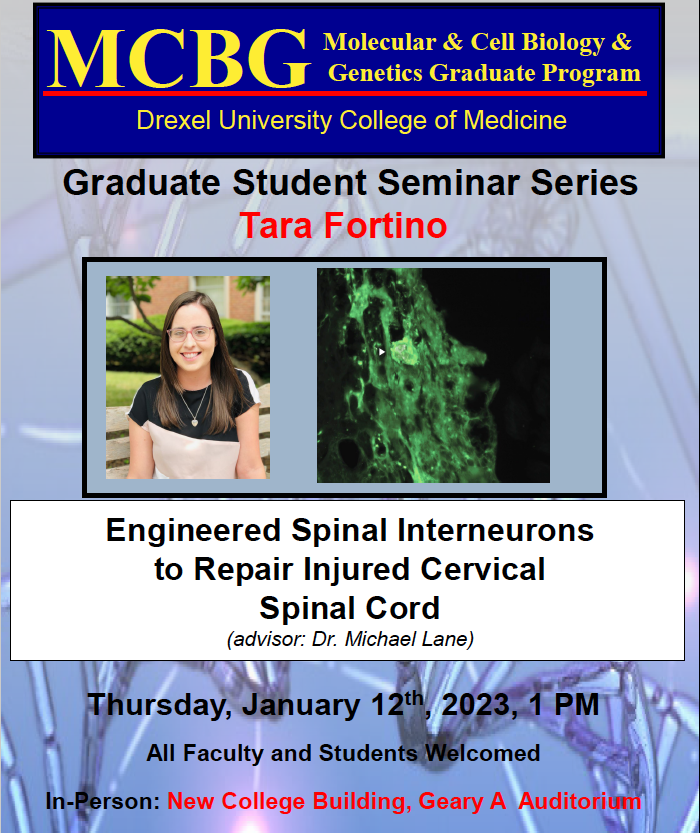 DrexelMCBG (@drexelmcbg) on Twitter photo 🧬MCBG Seminar🧬
Thursday, January 12, 1 PM
Tara Fortino <a href="/tara14o/">Tara</a> PhD Student <a href="/DrexelMcbg/">DrexelMCBG</a> <a href="/DrexelMedicine/">Drexel University College of Medicine</a>
Advisor: Dr. Michael Lane <a href="/mlane_neuro/">Michael Lane</a> <a href="/DrexelNeurobio/">Drexel Neurobiology & Anatomy</a>
Engineered Spinal Interneurons to Repair Injured Cervical Spinal Cord
#Science #neuroscience #PhD 🧬MCBG Seminar🧬
Thursday, January 12, 1 PM
Tara Fortino <a href="/tara14o/">Tara</a> PhD Student <a href="/DrexelMcbg/">DrexelMCBG</a> <a href="/DrexelMedicine/">Drexel University College of Medicine</a>
Advisor: Dr. Michael Lane <a href="/mlane_neuro/">Michael Lane</a> <a href="/DrexelNeurobio/">Drexel Neurobiology & Anatomy</a>
Engineered Spinal Interneurons to Repair Injured Cervical Spinal Cord
#Science #neuroscience #PhD