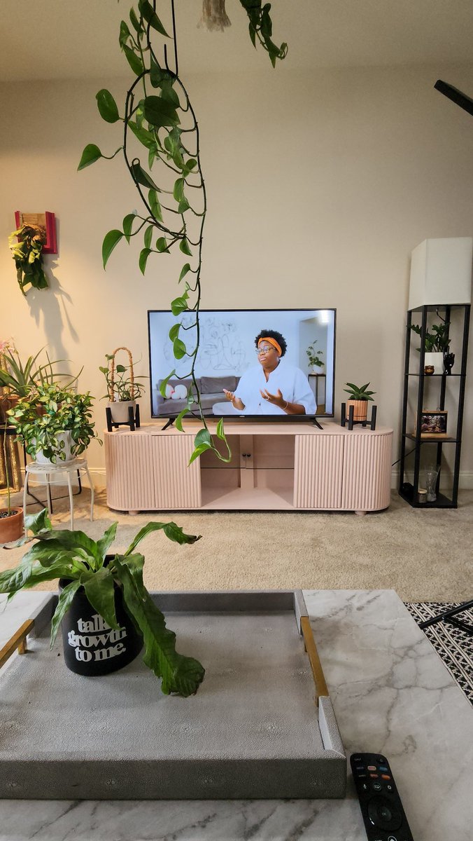 DAYDAYTUPAC's tweet image. So I made a TV stand for our living room. Most attractive build I've done so far!

#diyfurniture #interiordesign #plantstyling #interiordecor