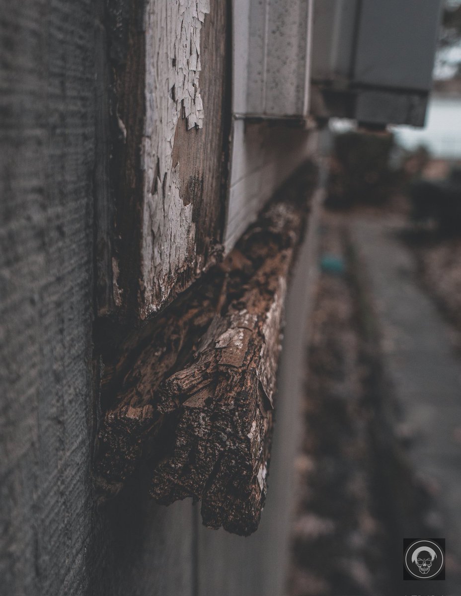 originalcoolone's tweet photo. Destroyed Fighter
#naturepisode #podium #vero #Globalcapture #pictas #raw_landscape #raw_mountains #raw_community #luminaters #intothewild #Plant #Light #Leaf
#verofullframe #nature #Outdoors #photography #raw_world
#earthvisuals #landscape #raw_alltrees @petermckinnon https://t.co/wanB9ewBu4