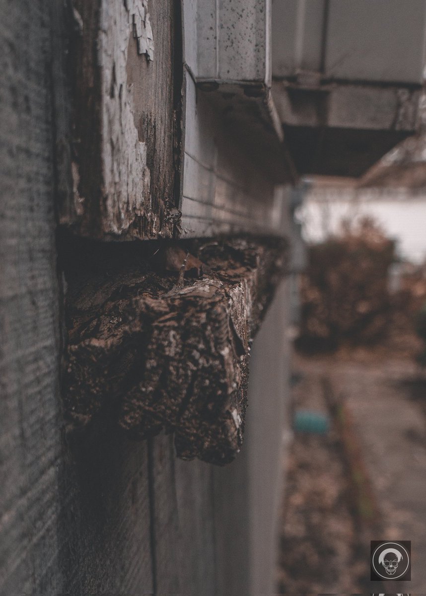 Destroyed Fighter

#naturepisode #podium #vero #Globalcapture #pictas #raw_landscape #raw_mountains #raw_community #luminaters #intothewild #Plant #Light #Leaf 
#verofullframe #nature #Outdoors #photography  #raw_world 
#earthvisuals #landscape #raw_alltrees @petermckinnon