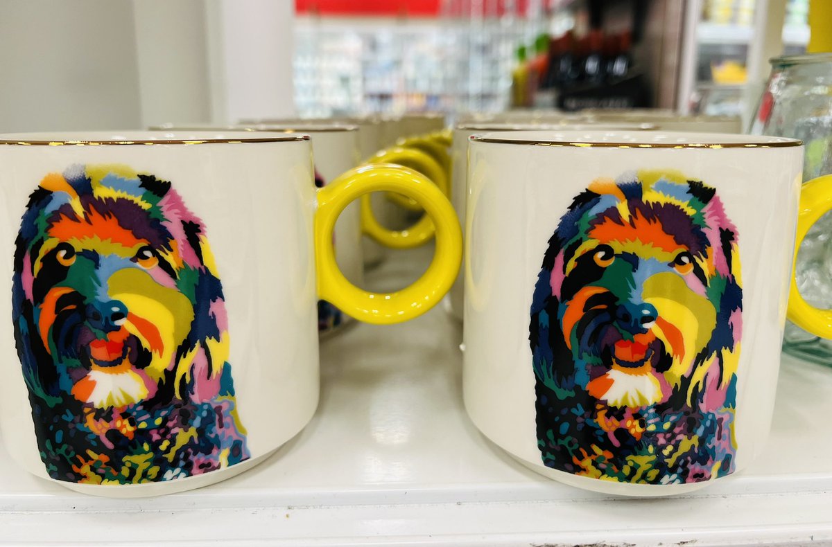 Tabitha Drop #3 💛💙 #t2224 #Vegan #Target #mcallenorthwest