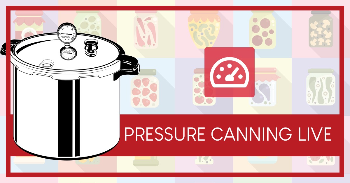 LIVE Pressure Canning Workshops for 2023

We start at the beginning with no shortcuts, cook along with me in real time to build confidence and a varied store of safely preserved food.
 
£99.00 for all 22 Workshops 

Find out more : lovejars.co.uk/school/pclive