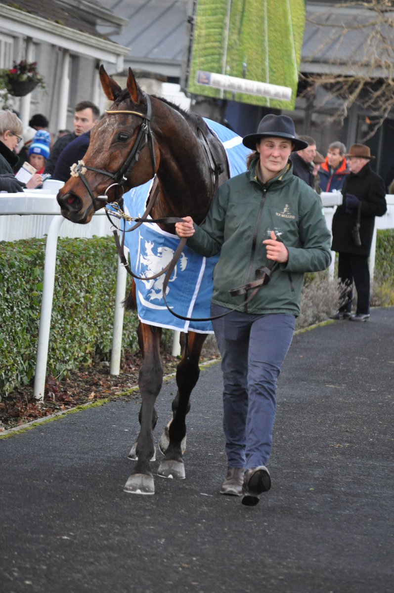CHAMP KIELY trained by @WillieMullinsNH returns after winning the @LawlorsNaas Novice Hurdle @NaasRacecourse 8-1-23