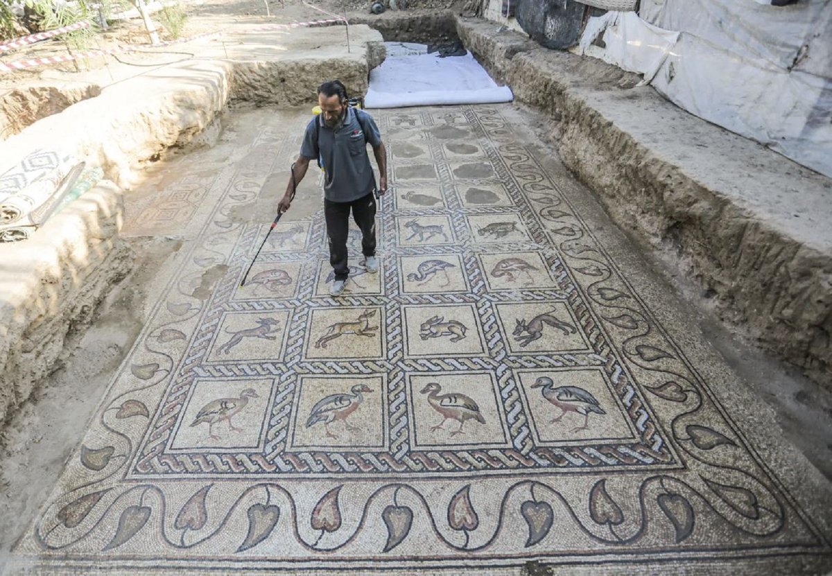 Un arqueòleg inspecciona un mosaic bizantí aparegut durant les obres en una granja d'oliveres a Gaza, Palestina 
📷Mahmoud Issa, 2022