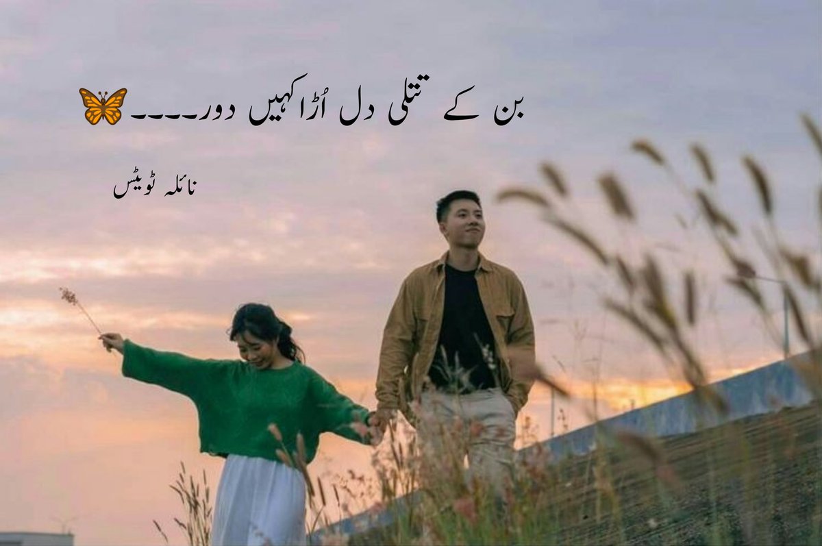 naila_writes's tweet photo. بن کے تتلی دل اُڑا کہیں دور ۔۔۔۔🦋
#Manii ❤️ #butterfly🦋 https://t.co/uKCIarf1ne