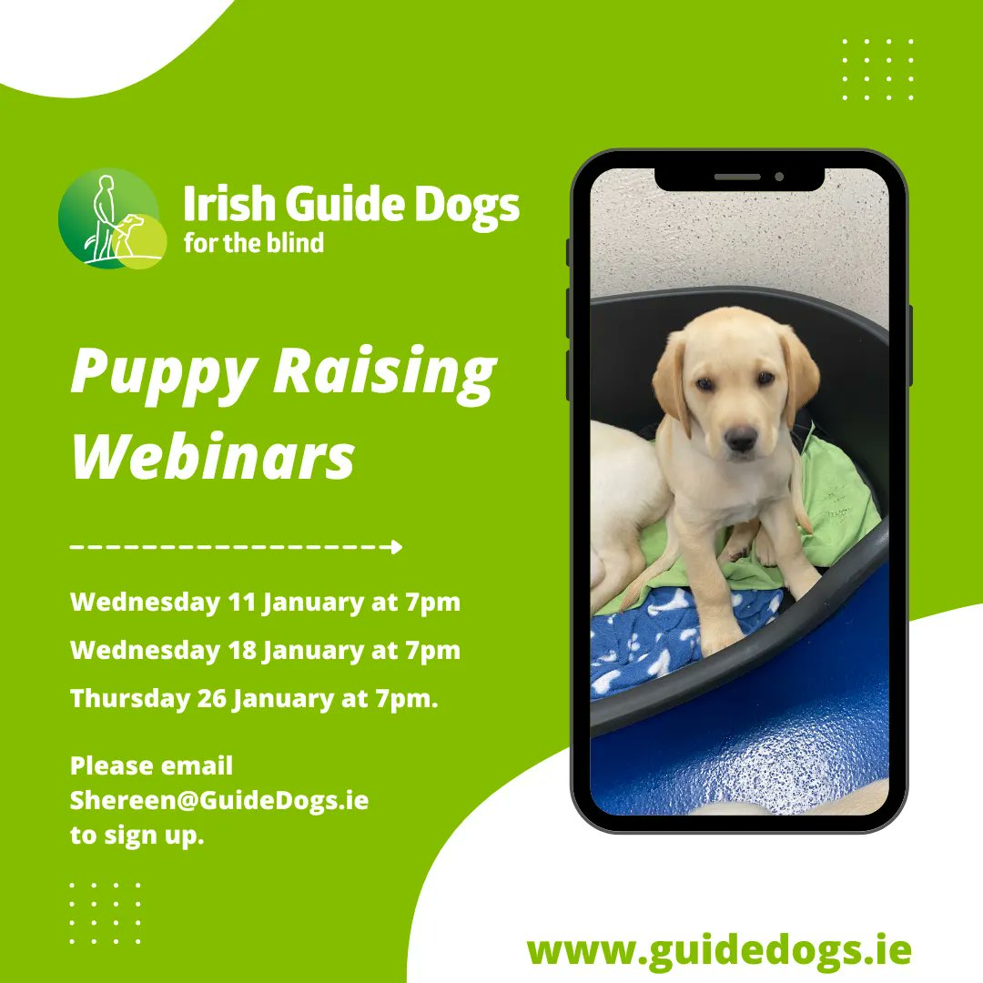 Irish Guide Dogs for the Blind tweet media