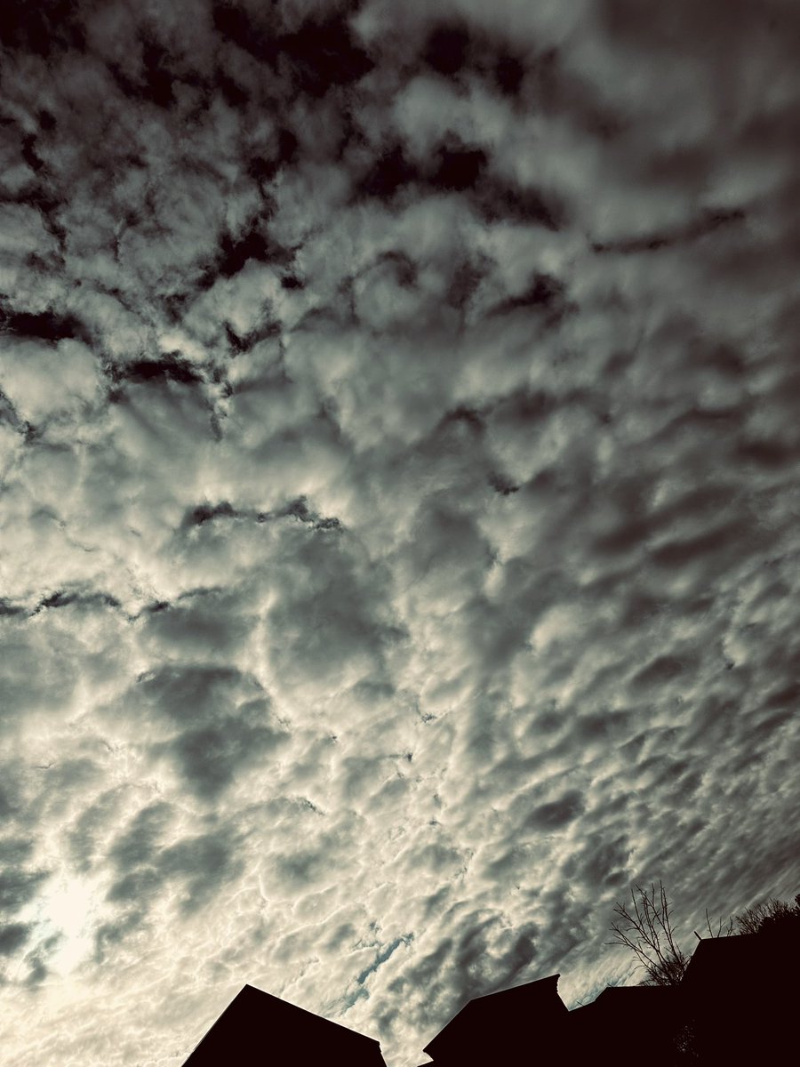 Beware of the dream police… They are afraid that you will do what they themselves cannot #rebirth #shine #notthistime