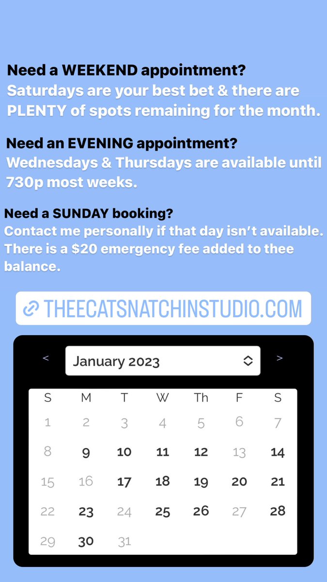 NoFuzzGiven's tweet image. TheeCatSnatchinStudio.com