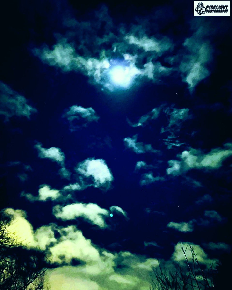 firelight_photo's tweet photo. It’s been a while. Took a stroll under the moonlight the other night and I couldn’t resist taking some shots of the moon. It was so bright in the sky!

#amateurphotography #firelightphotography2023 https://t.co/DCdrCwxXAL