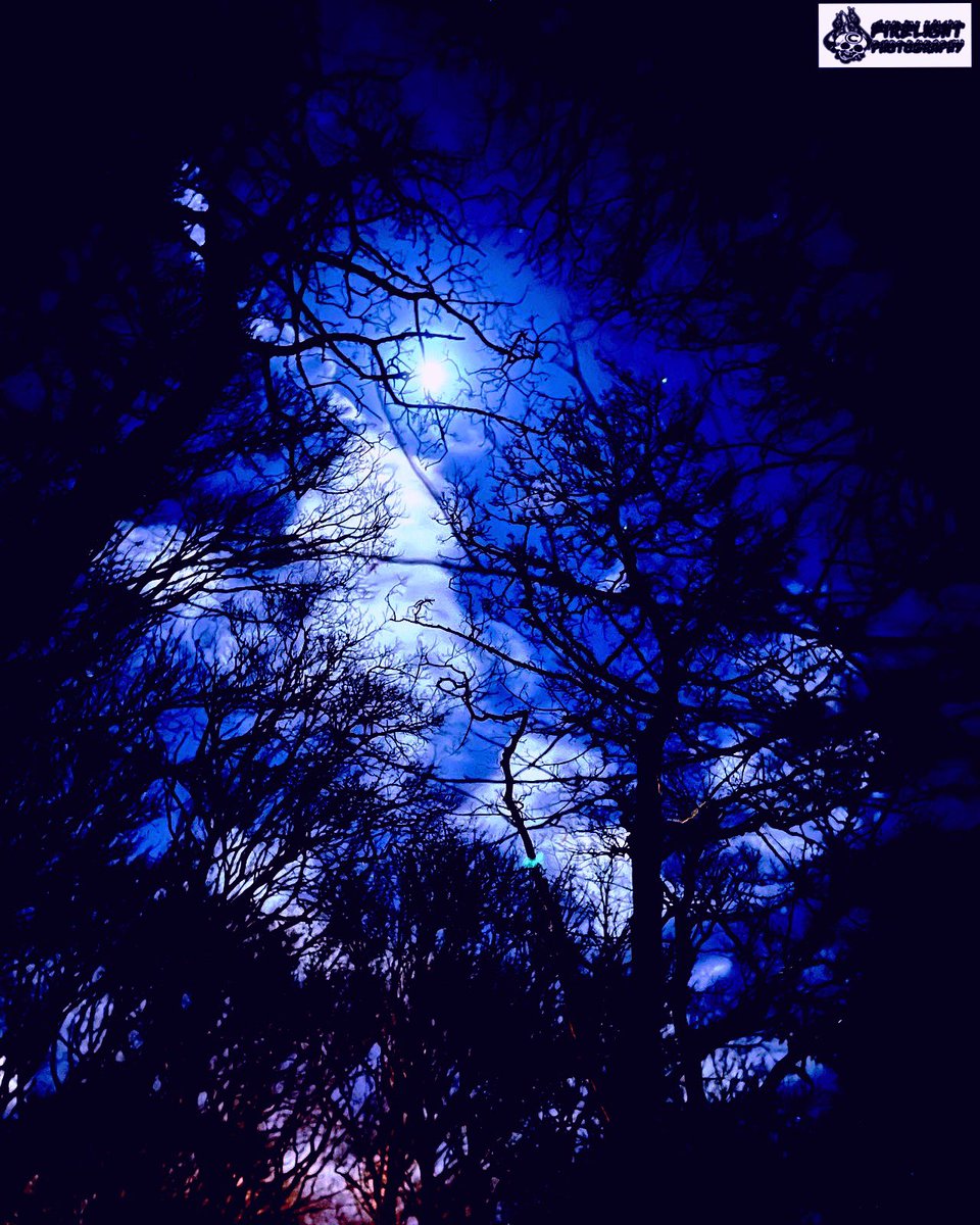 firelight_photo's tweet photo. It’s been a while. Took a stroll under the moonlight the other night and I couldn’t resist taking some shots of the moon. It was so bright in the sky!

#amateurphotography #firelightphotography2023 https://t.co/DCdrCwxXAL