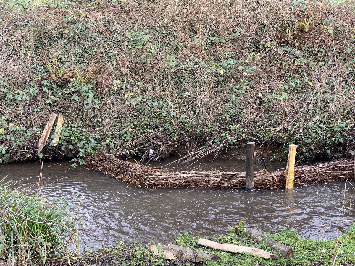 GeoffWhittle3's tweet photo. The Trent Rivers Trust were also active in #WashBrook Nature Area last week. Here installing the first of six brushwood mattresses, to create diverse habitats for aquatic plants and invertebrates in the brook. https://t.co/QmoE5YkETl
