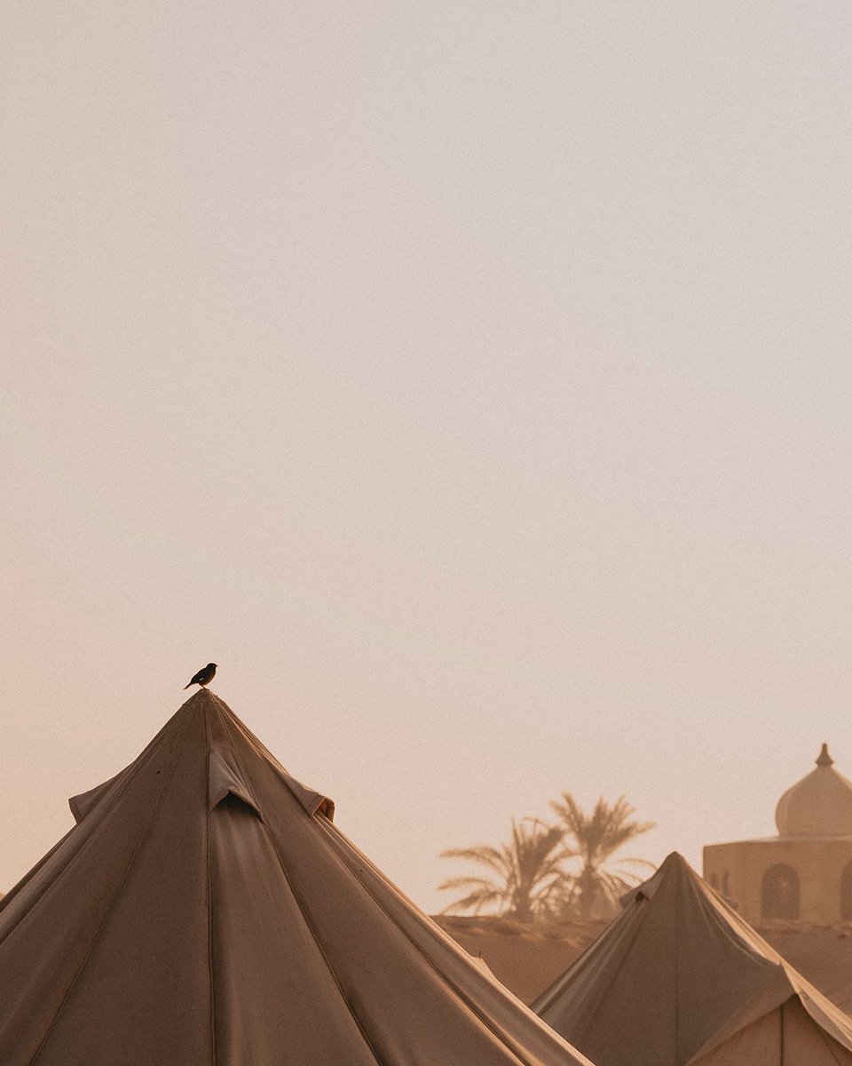 The Terra Solis lodges are designed to create an ideal balance of comfort and design to create a deeper sense of relaxation. 

For reservations: call +971 44 56 1956 | WhatsApp +971 50 935 2344

#TerraSolis #DesertDestination