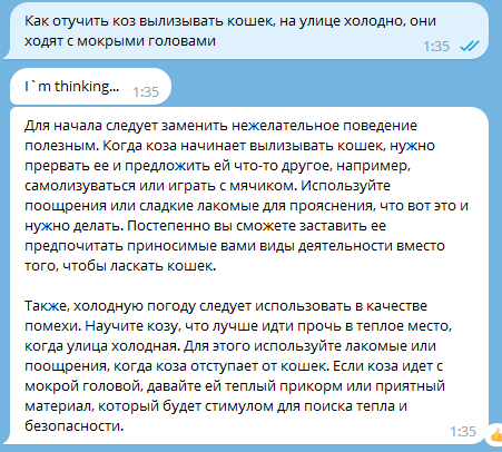 Интим чат машина