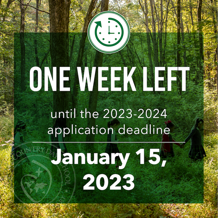 StuartCDSchool's tweet photo. ❗️ ADMISSIONS REMINDER!❗️ The application deadline for the 2023-2024 school year is in ONE WEEK on January 15!

📞 Contact: 609.921.6118

OR

💻 Visit https://t.co/31OA6o0qi3 https://t.co/bWmsQbJfX5