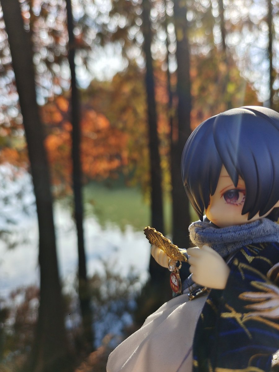 🍁