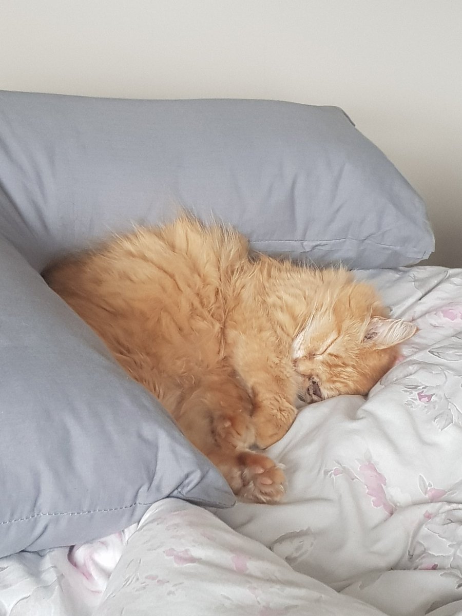 TheBayTreeCafe tweet media