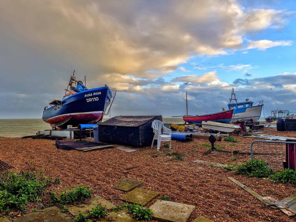 Seaside Sessions tweet media